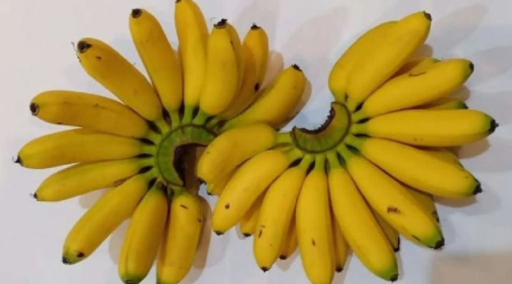 Buah Pisang Mas